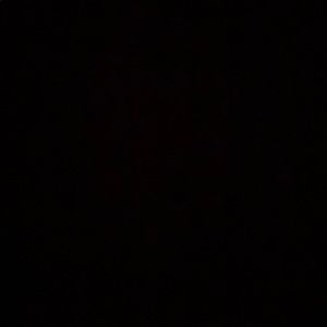 Meet your Posher, Vicente